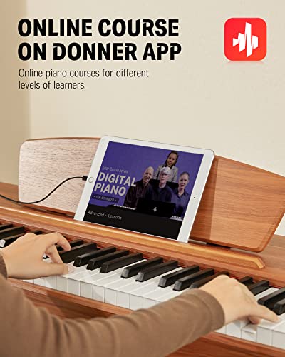 Donner DDP 80 Teclado de Piano Marrón Madera Digital 88 Teclas Ponderadas, Acción de Martillo II, Doméstico de Tamaño Completo con Soporte, Triple Pedal, Conexión MIDI : Amazon.es: Juguetes y juegos