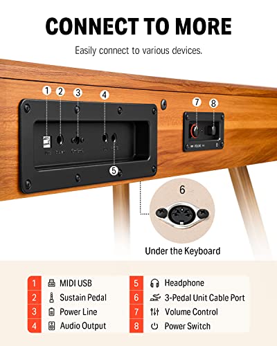 Donner DDP 80 Teclado de Piano Marrón Madera Digital 88 Teclas Ponderadas, Acción de Martillo II, Doméstico de Tamaño Completo con Soporte, Triple Pedal, Conexión MIDI : Amazon.es: Juguetes y juegos