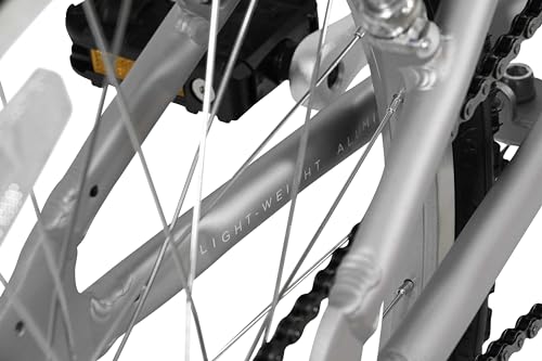FabricBike Plegable Bicicleta, Unisex Adulto, Matte Grey 7 Speed con Guardabarros, Talla única :  Deportes y aire libre