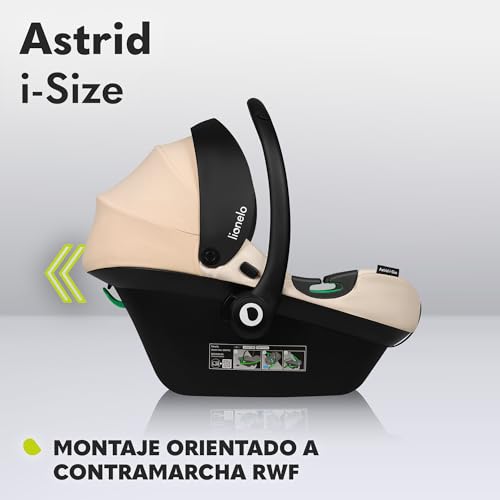 LIONELO ASTRID silla de coche para bebés 40 87 cm i Size puntos protección lateral Portabebés, Orientación trasera cinturón de seguridad de 3 :  Bebé