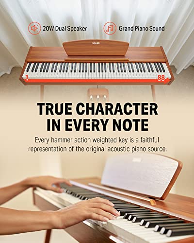 Donner DDP 80 Teclado de Piano Marrón Madera Digital 88 Teclas Ponderadas, Acción de Martillo II, Doméstico de Tamaño Completo con Soporte, Triple Pedal, Conexión MIDI : Amazon.es: Juguetes y juegos