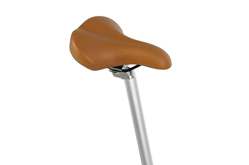 FabricBike Plegable Bicicleta, Unisex Adulto, Matte Grey 7 Speed con Guardabarros, Talla única :  Deportes y aire libre
