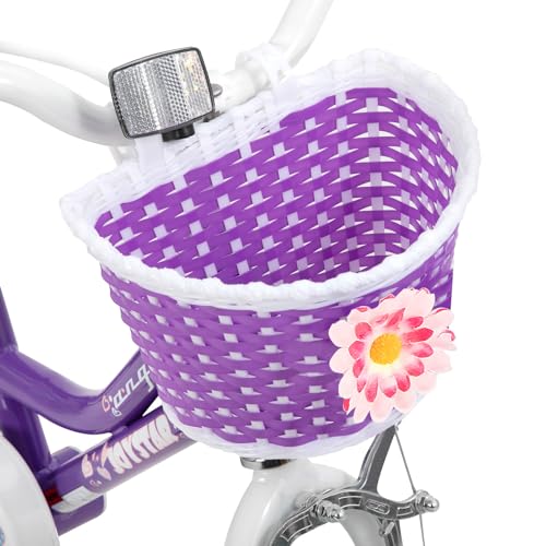 JOYSTAR Bicicleta Infantil de 18 Pulgadas para niñas de 5 a 8 años, Bicicleta para niñas con Ruedas de Entrenamiento y Cesta,Morado :  Deportes y aire libre