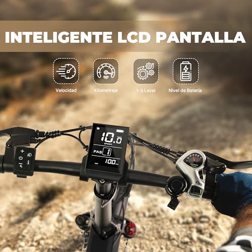VARUN Bicicleta Eléctrica Plegable, 20"*4.0" Fat Tire Bicicleta Eléctrica Montaña con Batería 48V 13Ah, Autonomía 100KM, Bici Electrica con Motor 250W, E Bike con 7 Velocidades, Pantalla LCD : Amazon.es: Deportes y aire libre