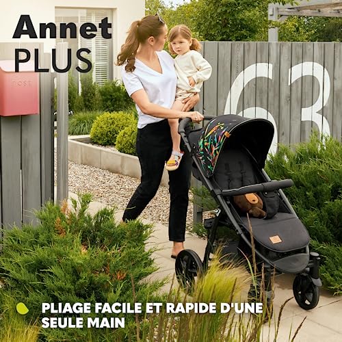 LIONELO Annet Silla de Pase Para niños hasta 22 kg 0 48M ajuste del respaldo hasta posición horizontal Capucha XXL Plegable fácil con ventana Mosquitera :  Bebé
